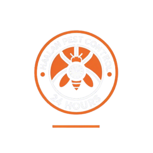 مكافحة حشرات حالا