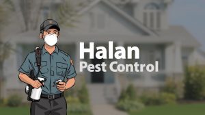 أفضل شركة مكافحة بق في المعادي