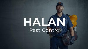 مكافحة البق فى حدائق المعادي