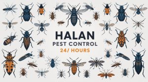 مكافحة النحل والدبابير في مصر