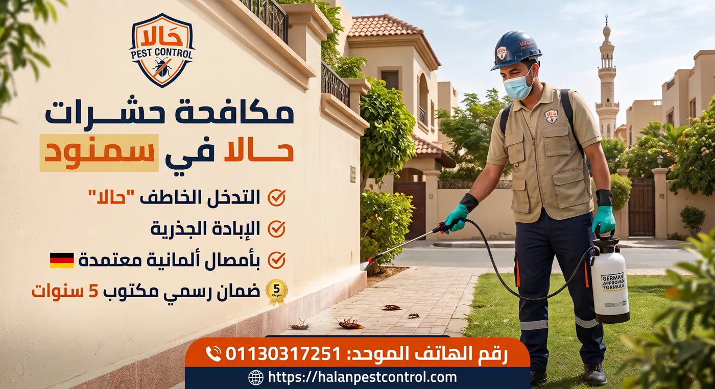 فني من شركة حالا لمكافحة الحشرات في سمنود يفحص إصابة صراصير وفئران داخل مطبخ سكني
