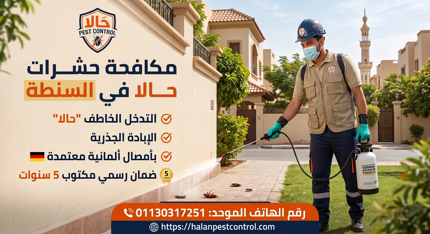 فني من شركة حالا لمكافحة الحشرات يفحص مصدر إصابة داخل منزل بمدينة السنطة
