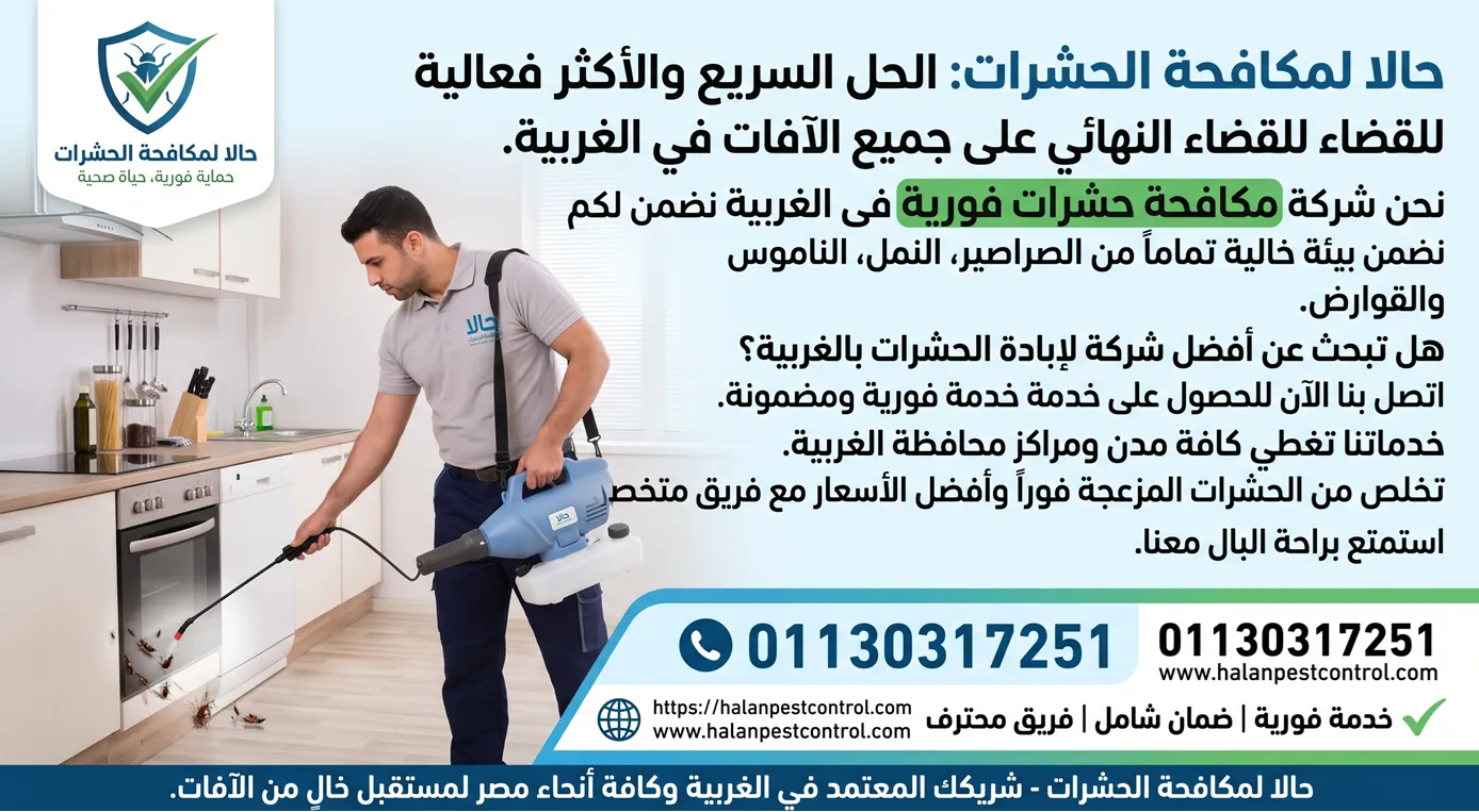 شركة مكافحة حشرات فورية فى الغربية - خدمات إبادة الآفات ورش المبيدات المعتمدة في طنطا والمحلة